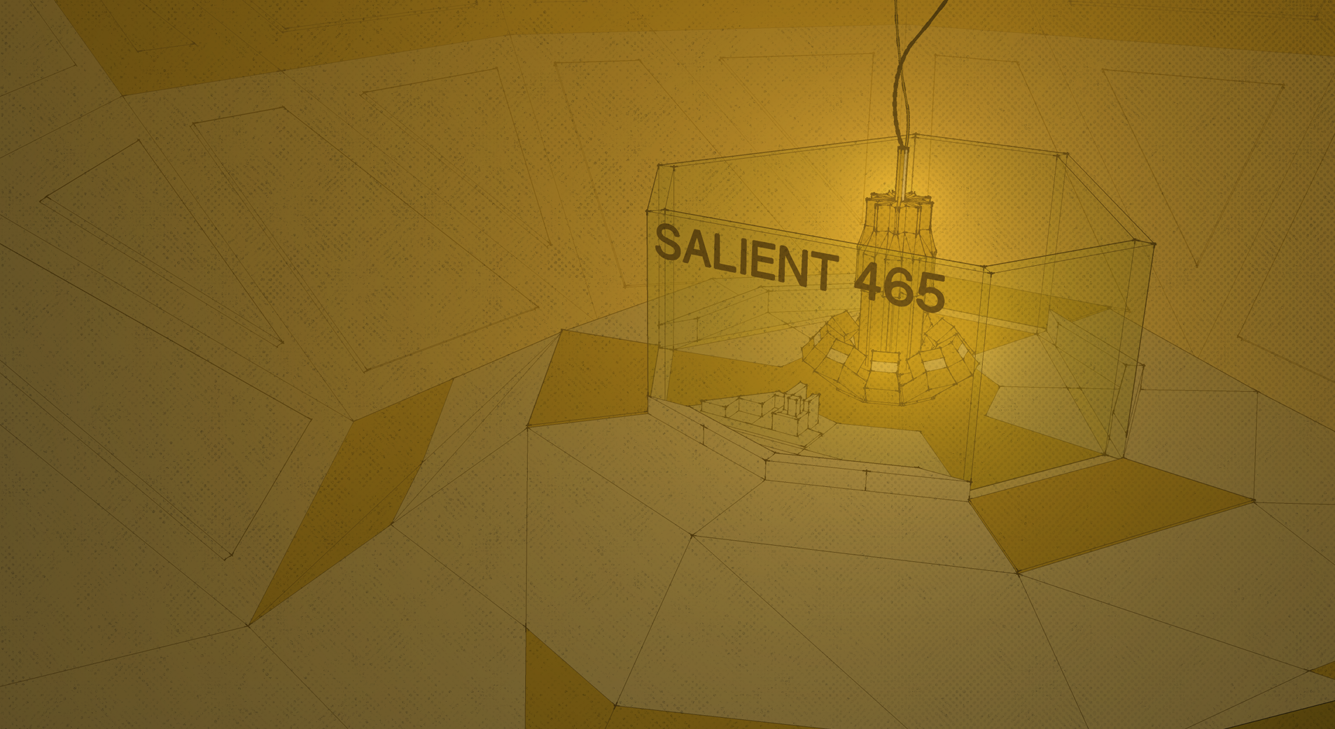 Salient 465